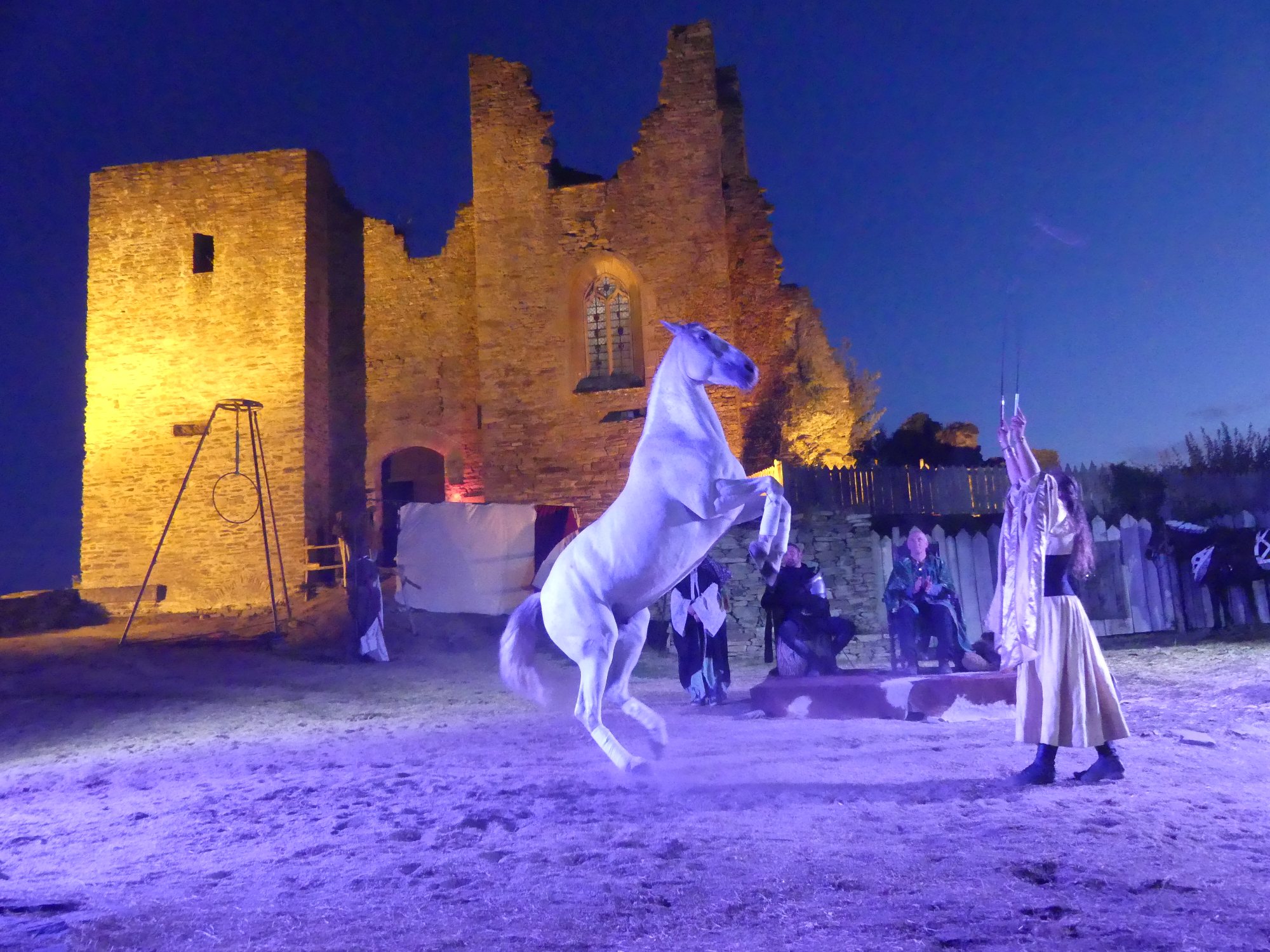 Spectacle équestre Les Mousquetaires Lacroix Barrez Turismo en Aveyron