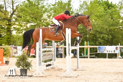Combelles centre équestre Rodez Agglomération , Centre Équestre du Domaine de Combelles