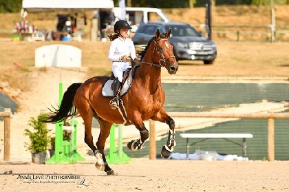 Combelles centre équestre Rodez Agglomération , Centre Équestre du Domaine de Combelles