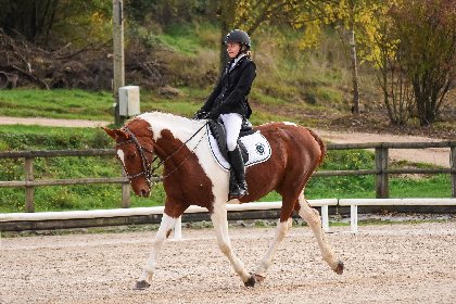Combelles centre équestre Rodez Agglomération , Centre Équestre du Domaine de Combelles