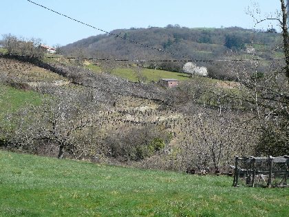 Vue depuis porte d'entrée, 