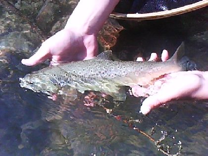 École de Pêche St Laurent d'Olt, OFFICE DE TOURISME INTERCANTONAL SAINT GENIEZ  / CAMPAGNAC