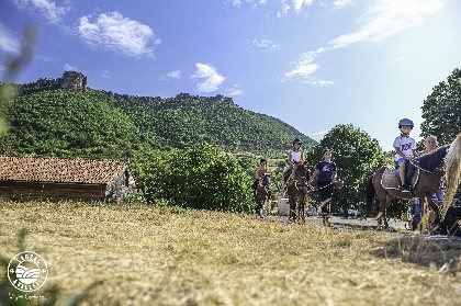 Poney Club Larzac et Vallées Elevage du Durzon, Virginie Govignon - OT Larzac Vallées