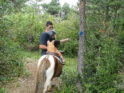 Centre Équestre Le Sonnac, OFFICE DE TOURISME DE MILLAU