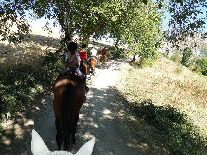 Centre Équestre Le Sonnac, OFFICE DE TOURISME DE MILLAU