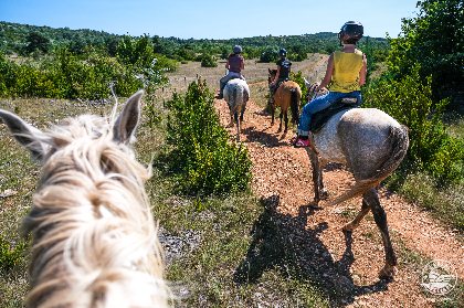 Domaine de Gaillac - balades à cheval, ©V. Govignon - OT Larzac et Vallées