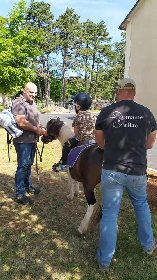Balade à poney, OFFICE DE TOURISME LARZAC VALLEES