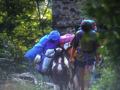 Le  Batut Randonnée équestre, Le Batut Randonnée équestre