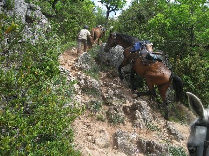 Le  Batut Randonnée équestre, Le Batut Randonnée équestre
