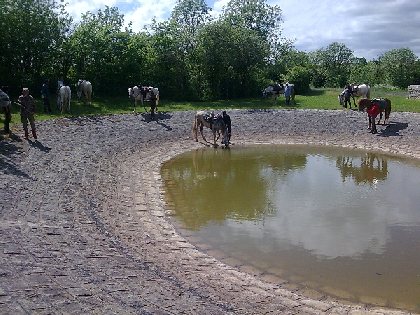 Le  Batut Randonnée équestre, Le Batut Randonnée équestre