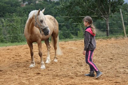 Ferme équestre de Saint Gauzy : Poney Club et Equithérapie, OT Villefranche-Najac