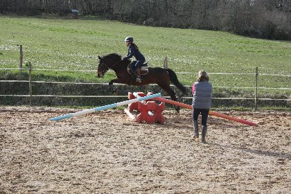 Ferme équestre de Saint Gauzy : Poney Club et Equithérapie, Mademoiselle GACHET-FRAYSSE Marie Noëlle