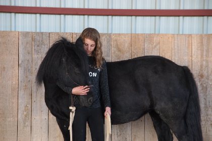 Ferme équestre de Saint Gauzy : Poney Club et Equithérapie, Mademoiselle GACHET-FRAYSSE Marie Noëlle