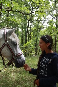 Ferme équestre de Saint Gauzy : Poney Club et Equithérapie, OFFICE DE TOURISME REGIONAL DE VILLEFRANCHE DE ROUERGUE