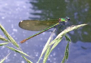 Sports et Nature - Randonnée pédestre, 