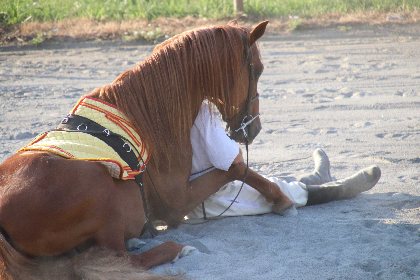 Capueval ECOLE D'EQUITATION ET DE CAPOEIRA, Capueval ECOLE D'EQUITATION ET DE CAPOEIRA