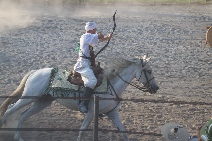 Capueval ECOLE D'EQUITATION ET DE CAPOEIRA, Capueval ECOLE D'EQUITATION ET DE CAPOEIRA