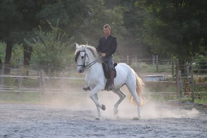 Capueval ECOLE D'EQUITATION ET DE CAPOEIRA, Capueval ECOLE D'EQUITATION ET DE CAPOEIRA