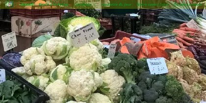 La Ferme d'Agen (GAEC) - Récolte à la ferme, OFFICE DE TOURISME DE PARELOUP LEVEZOU