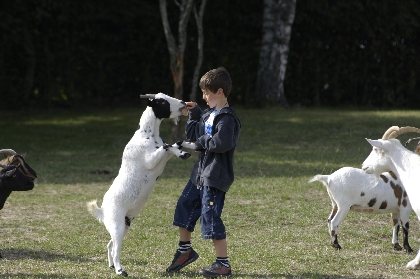 Les enfants profitent de la mini-ferme, LES SENTIERS DE LA DECOUVERTE