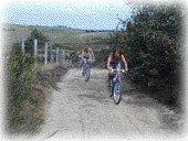 De nombreuses activités, LES SENTIERS DE LA DECOUVERTE