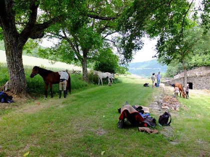 Accueil des cavaliers, Bruno