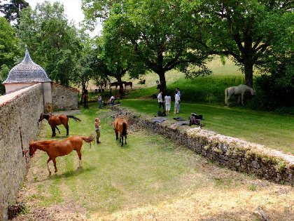 Accueil des cavaliers, Bruno