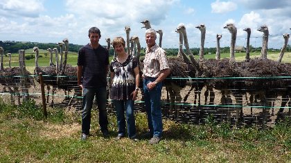 Autruches de Conques, OFFICE DE TOURISME de CONQUES-MARCILLAC