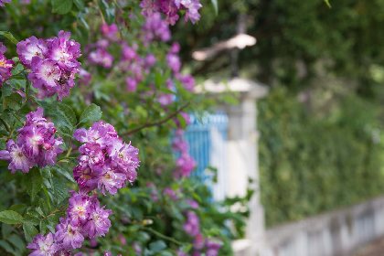 Domaine du Vern, ROQUEFORT TOURISME