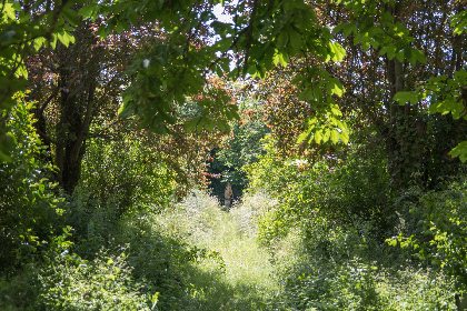 Domaine du Vern, ROQUEFORT TOURISME