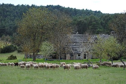 Gîte La Cardabelle, OFFICE DE TOURISME DE MILLAU