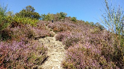 Sentier de randonnée, OFFICE DE TOURISME de CONQUES-MARCILLAC