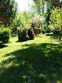 jardin avec accès rivière, Le bord de l'eau  
