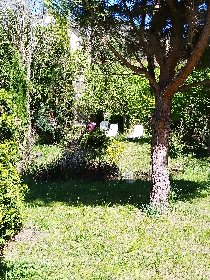 jardin avec accès rivière, Le bord de l'eau  