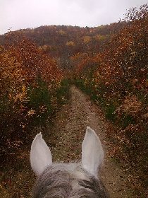Le Batut Promenade à cheval, Le Batut Promenade à cheval