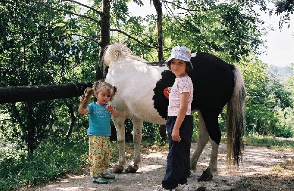 Randonnée à poney au Batut