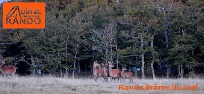Aubrac Rando, OFFICE DE TOURISME DE LAGUIOLE