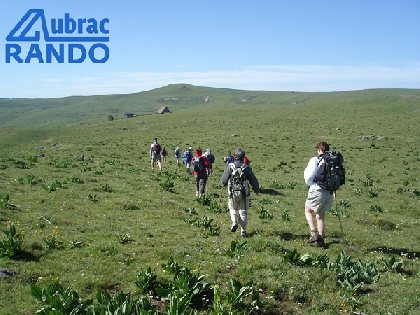 Aubrac Rando, OFFICE DE TOURISME DE LAGUIOLE