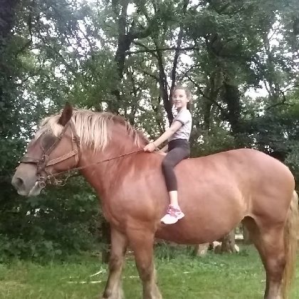 Ferme du Soulié : balades à dos d'ânes ou de poneys, OT Villefranche-Najac