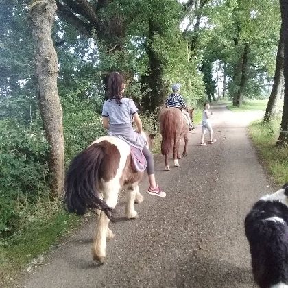 Ferme du Soulié : balades à dos d'ânes ou de poneys, OT Villefranche-Najac