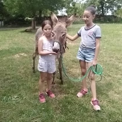 Ferme du Soulié : balades à dos d'ânes ou de poneys, OT Villefranche-Najac