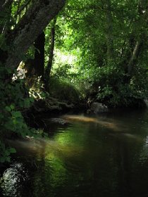 La Pêche dans le Carladez, OFFICE DE TOURISME DU CANTON DE MUR DE BARREZ
