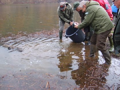 Hiver 2014 Réempoissonnement, AAPPMA DE MUR DE BARREZ