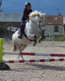 Ségala Lévézou Equitation, OFFICE DE TOURISME DU REQUISTANAIS
