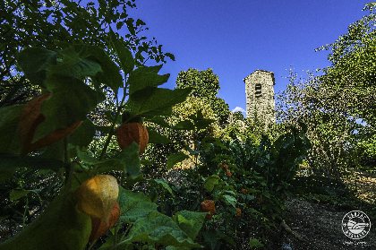 Eglise et Jardin botanique Saint-Xist, Virginie Govignon - OT Larzac Vallées