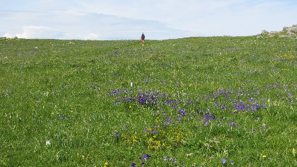 Côté Colline - site à voir ou revoir, Côté Colline