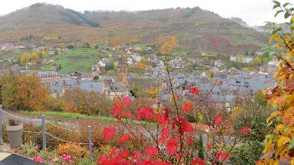 Côté Colline - Vue de la terrasse, 