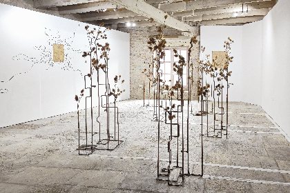 Moulin des Arts, espaces d'art contemporain en Aveyron. ANIMA, Virginie Cavalier, Geoffrey Badel, 2023, Virginie Cavalier