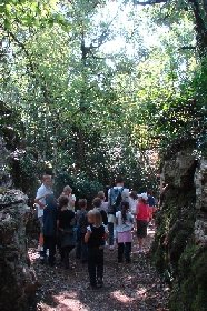 Parc animalier du Theil (Le Caylar en Larzac), Parc animalier du Theil