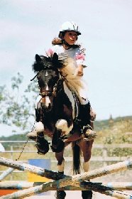 Ferme équestre du Badour école d'équitation, Ferme équestre du Badour